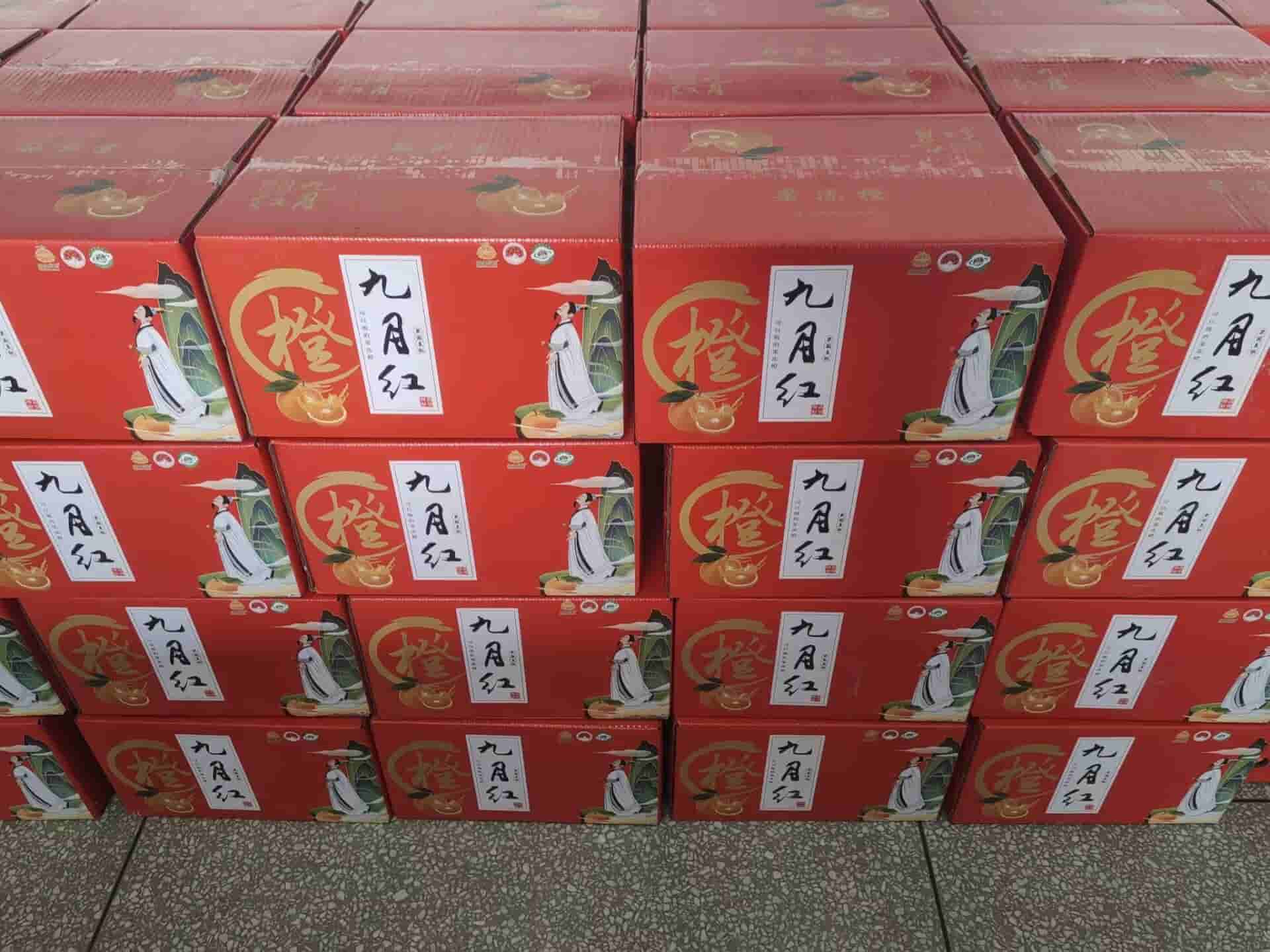 Focusens 2025 Inventory Audit | Sensor Manufacturing Digital Transformation